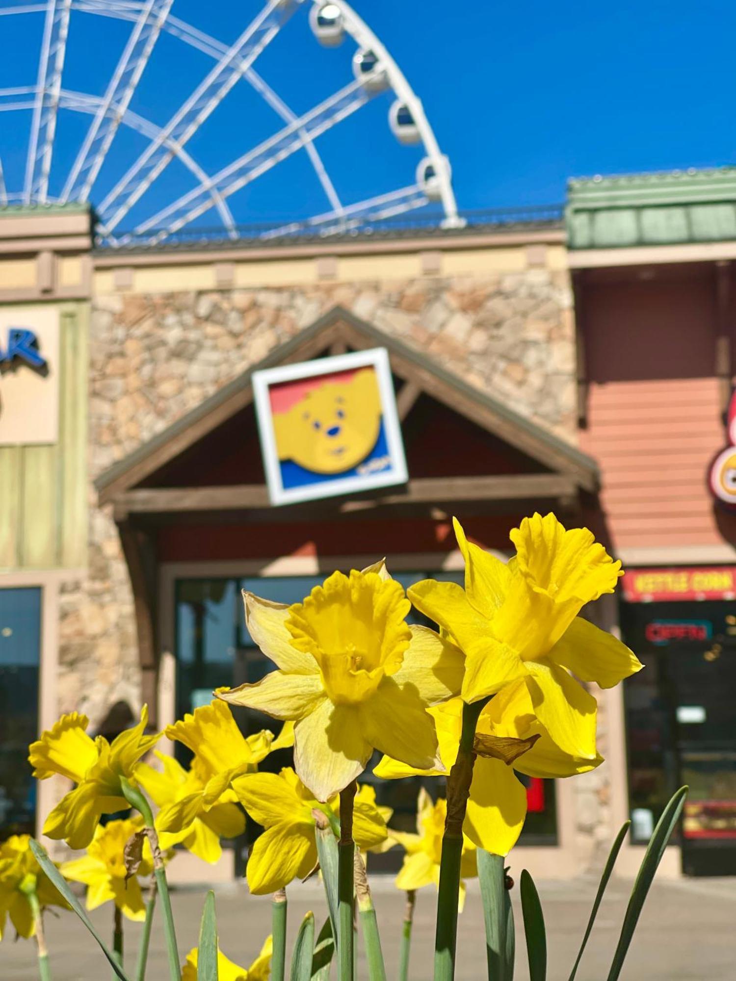 Another Day Inn Bearadise Pigeon Forge Exterior photo